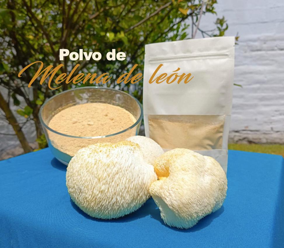 Polvo de melena de león en pre-venta - Llampi